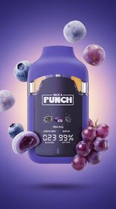 Pack a Punch 2G Disposable